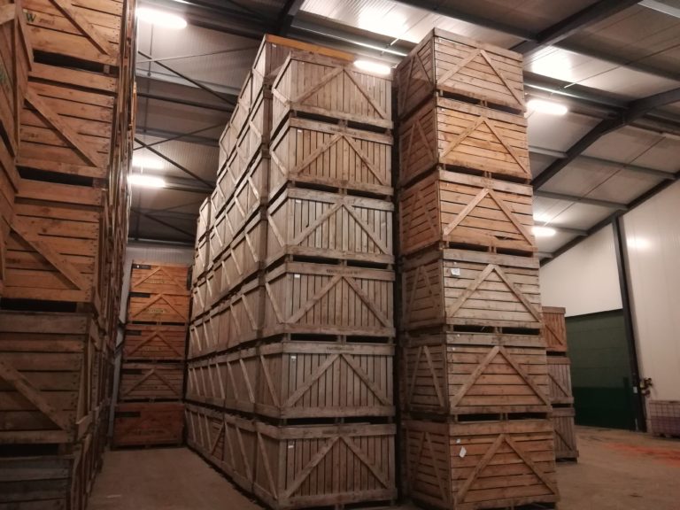 Stockage en caisses de pommes de terre