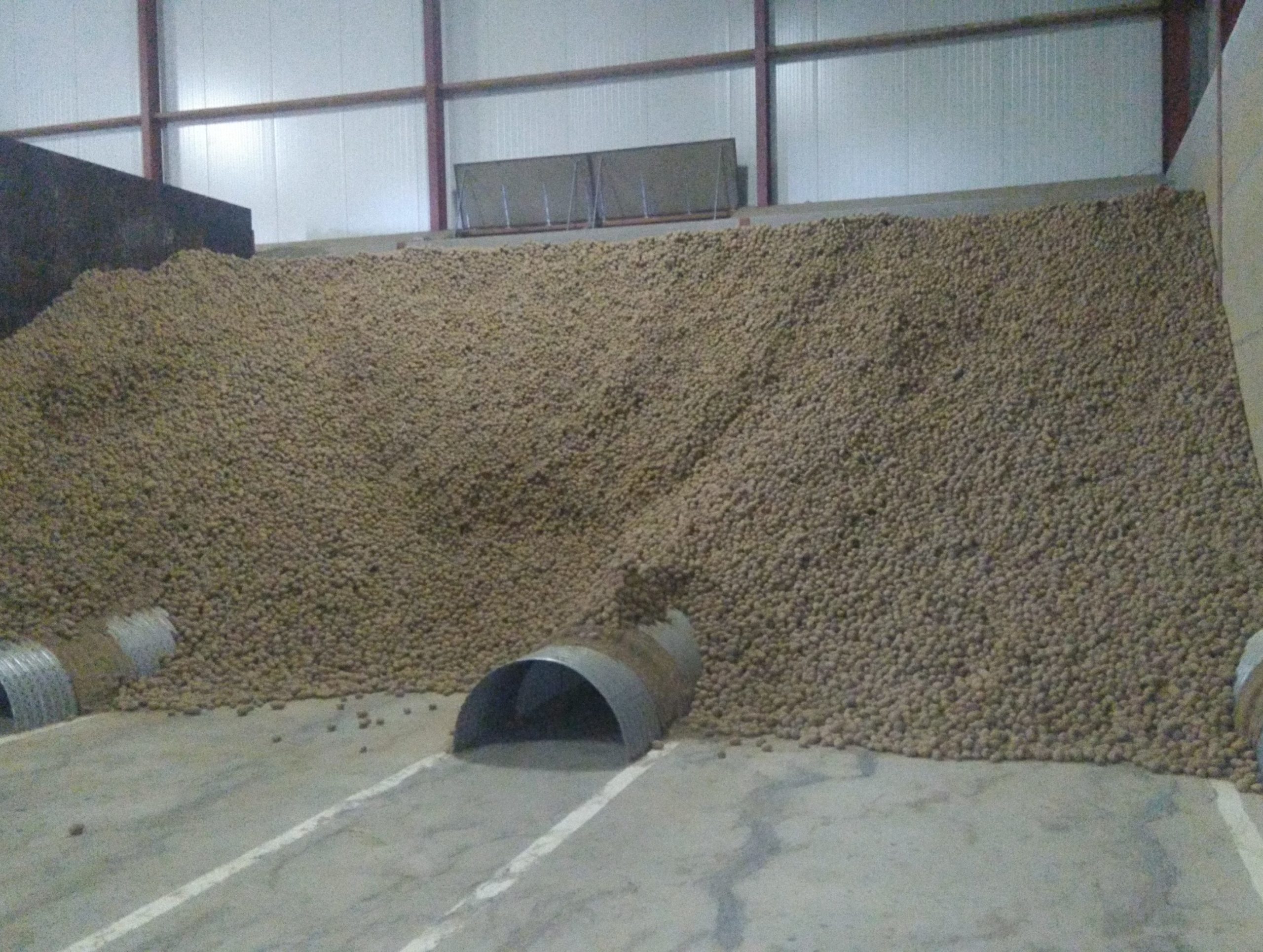 Stockage en vrac de pommes de terre